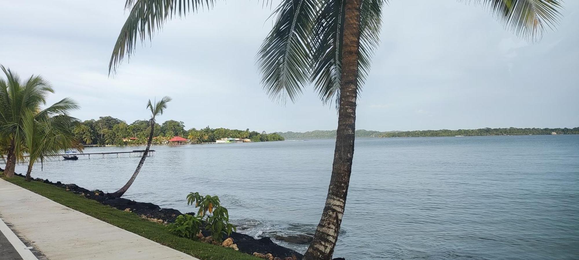 Bambu Lounge Bocas Hostel Bocas del Toro Eksteriør billede