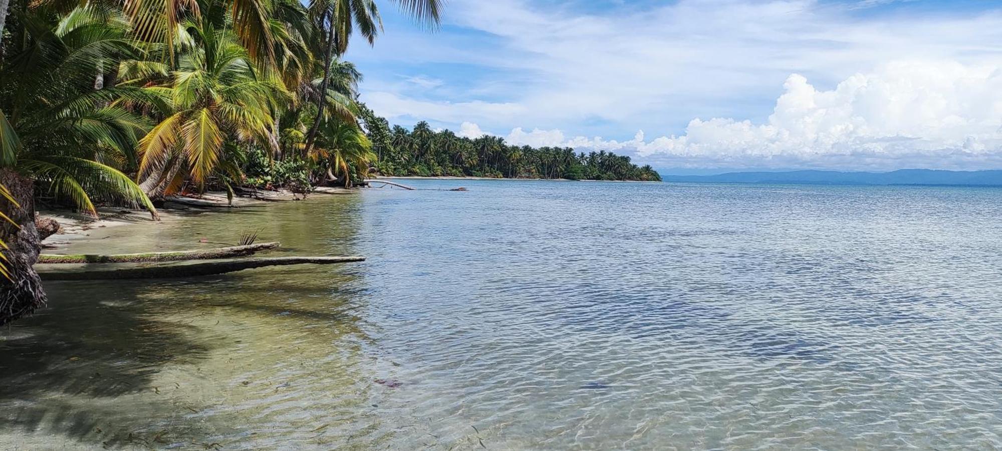 Bambu Lounge Bocas Hostel Bocas del Toro Eksteriør billede