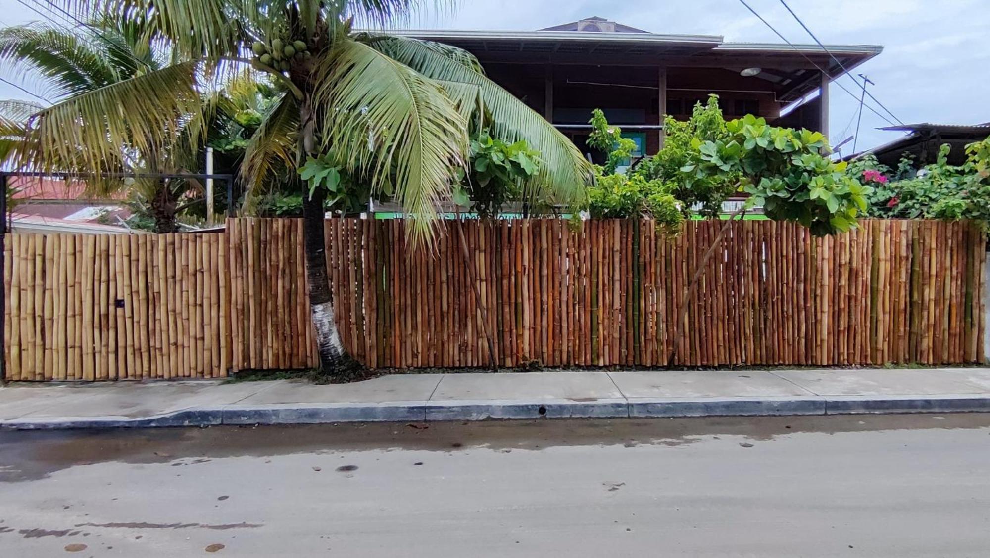 Bambu Lounge Bocas Hostel Bocas del Toro Eksteriør billede